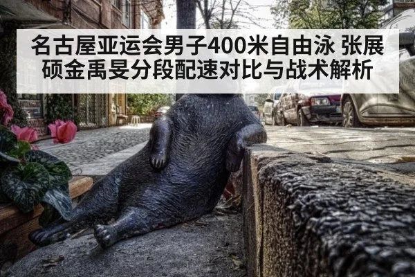 名古屋亚运会男子400米自由泳 张展硕金禹旻分段配速对比与战术解析